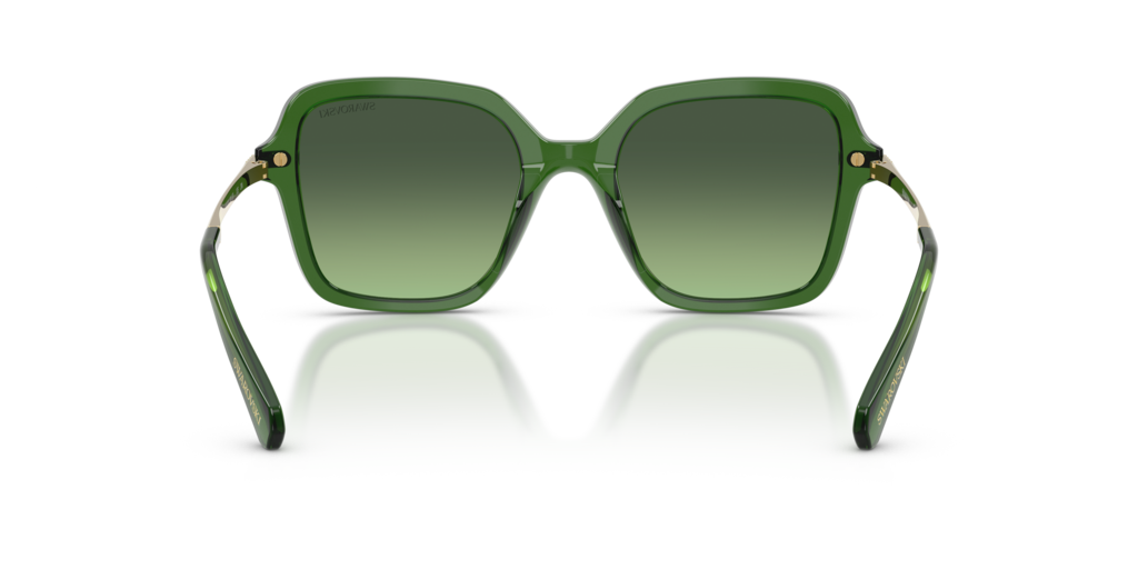 Swarovski SK6040 10812A