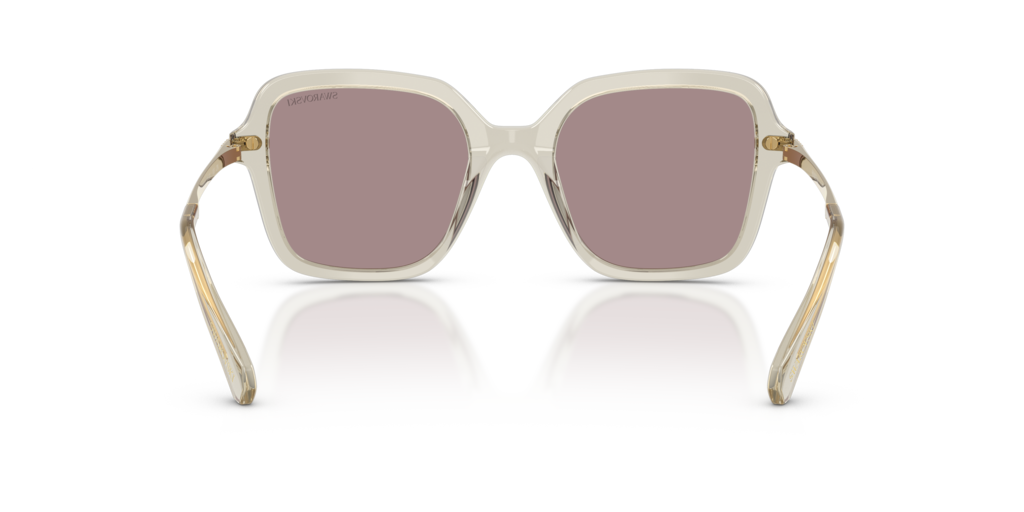 Swarovski SK6040 3003LA
