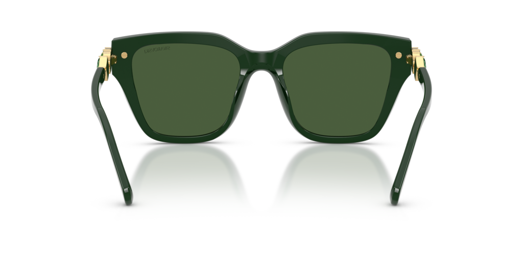 Swarovski SK6041 102671