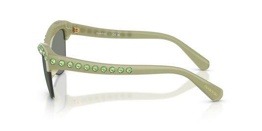 Swarovski SK6043 10746R