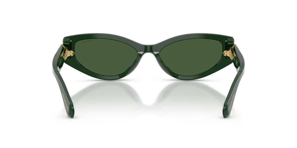 Swarovski SK6045U 102671