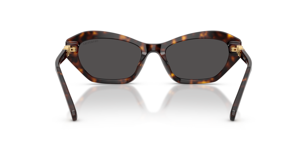 Swarovski SK6048 100287