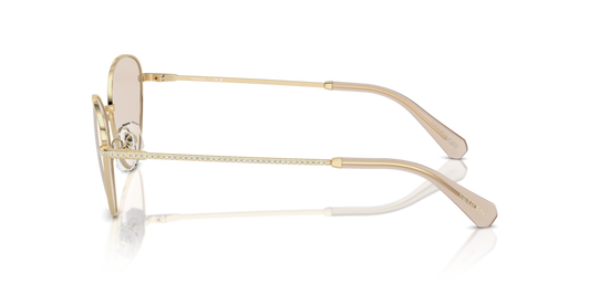 Swarovski SK7014 4013M4 - 58 - Güneş Gözlükleri