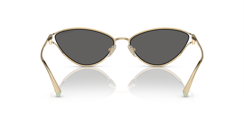 Tiffany TF3095 6021S4