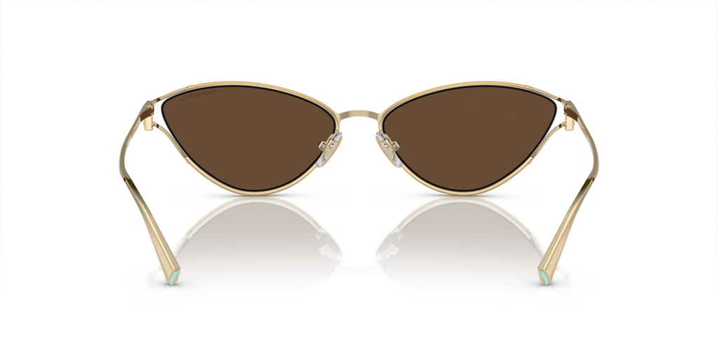 Tiffany TF3095 61933G