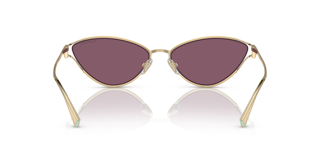 Tiffany TF3095 6194AK