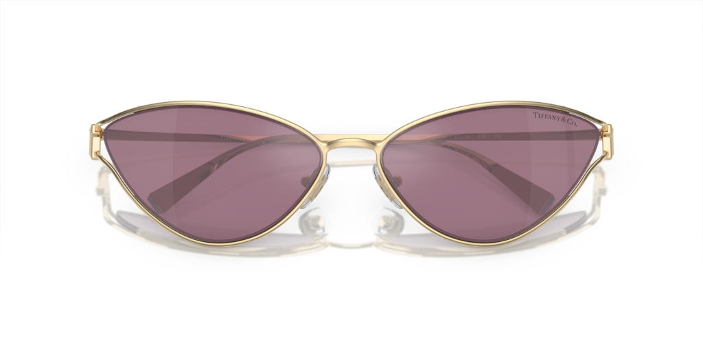 Tiffany TF3095 6194AK