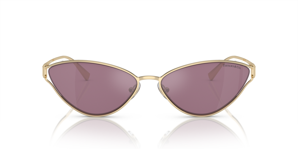 Tiffany TF3095 6194AK