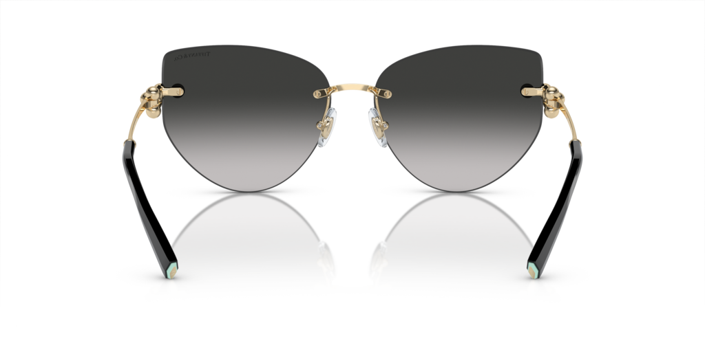 Tiffany TF3096 60213C