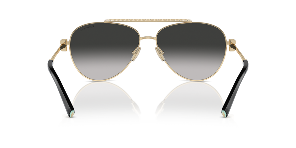 Tiffany TF3101B 60213C