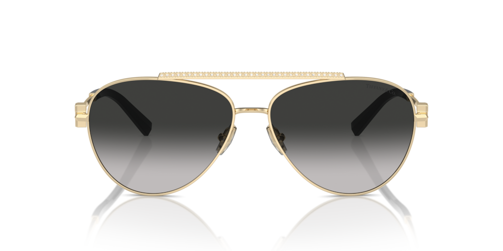 Tiffany TF3101B 60213C