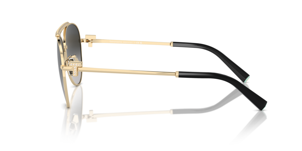 Tiffany TF3101B 60213C