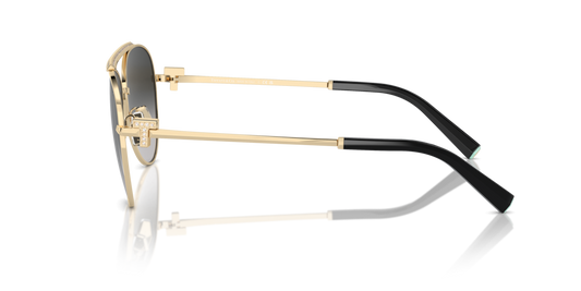 Tiffany TF3101B 60213C