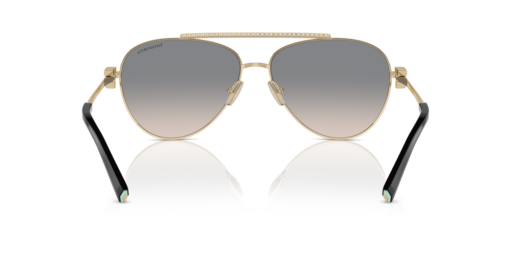 Tiffany TF3101B 61791U