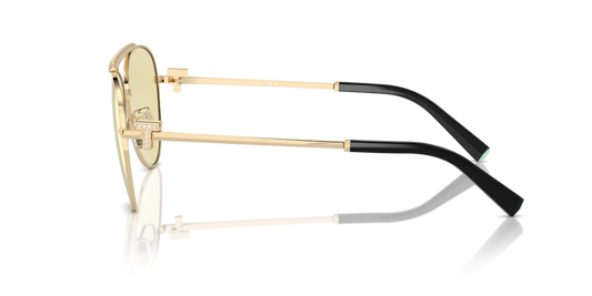 Tiffany TF3101B 6210M4