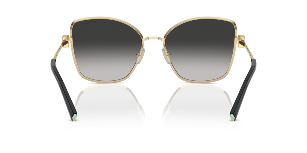 Tiffany TF3102B 60213C