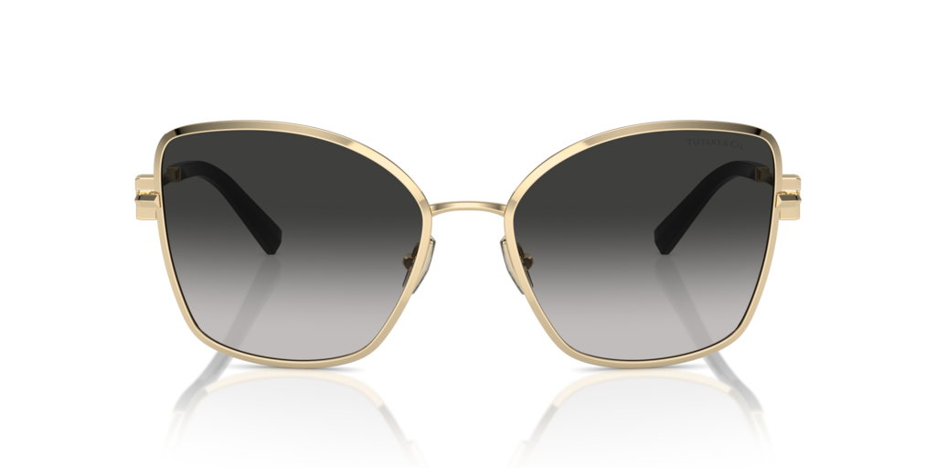 Tiffany TF3102B 60213C