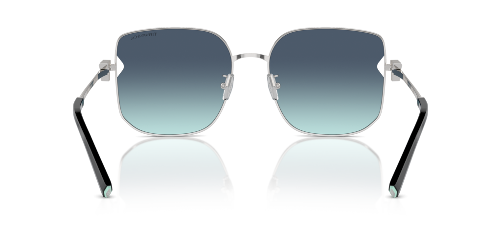 Tiffany TF3105D 60019S 58 Güneş Gözlükleri