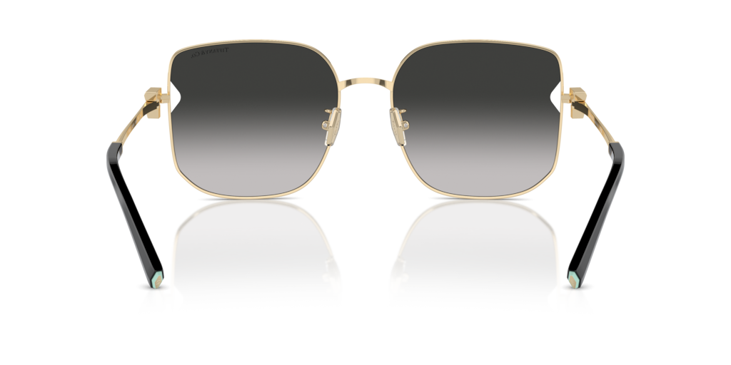 Tiffany TF3105D 6021S4