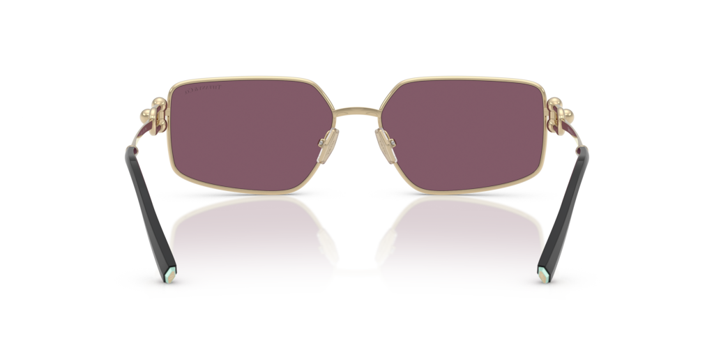 Tiffany TF3111 6194AK