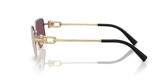 Tiffany TF3111 6194AK