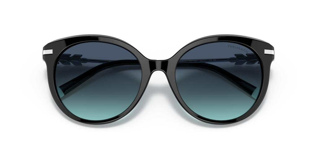 Tiffany TF4189B 80019S 55 Güneş Gözlükleri