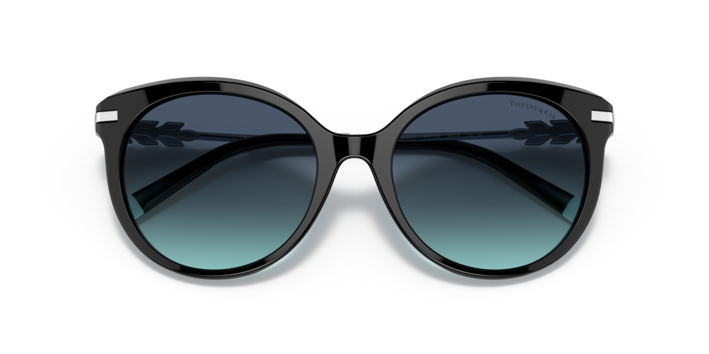 Tiffany TF4189B 80019S 55 Güneş Gözlükleri