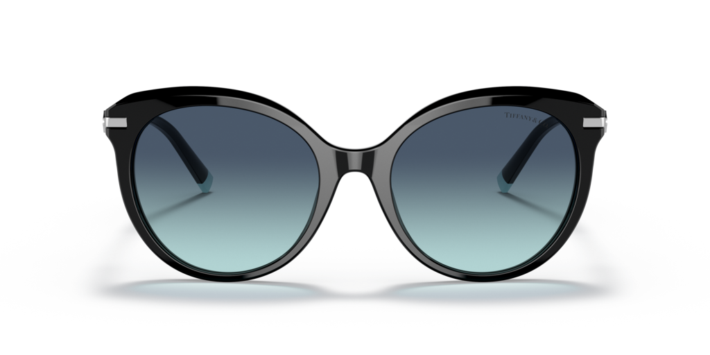 Tiffany TF4189B 80019S 55 Güneş Gözlükleri