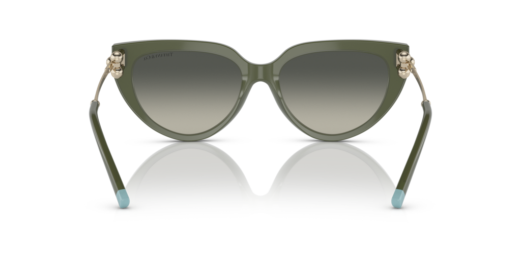 Tiffany TF4195 835811 54 Güneş Gözlükleri