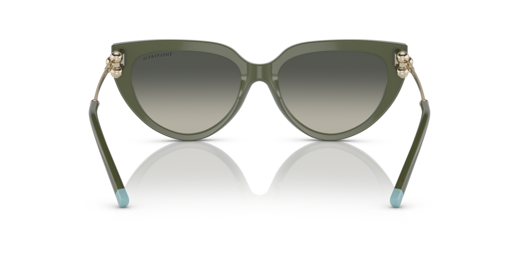 Tiffany TF4195 835811 54 Güneş Gözlükleri