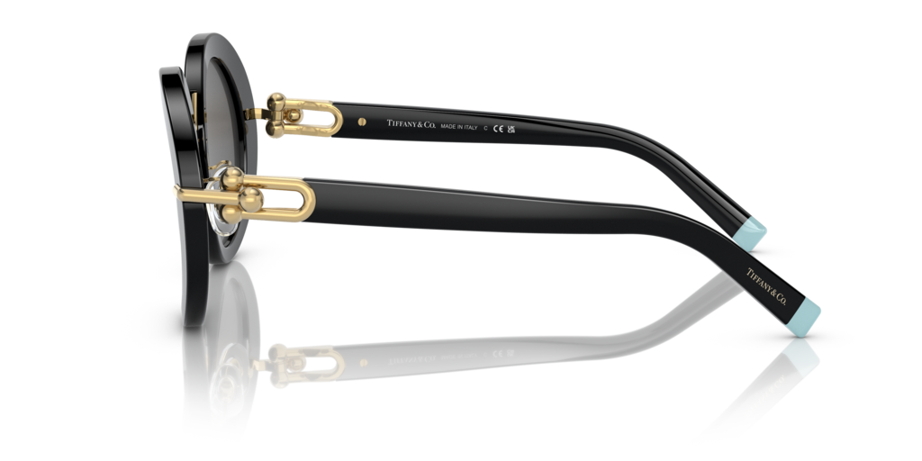 Tiffany TF4201 8001S4 50 Güneş Gözlükleri