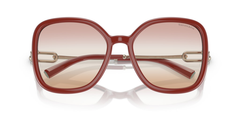 Tiffany TF4202U 8380EL 57 Güneş Gözlükleri