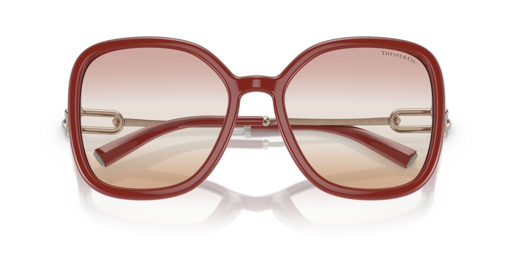 Tiffany TF4202U 8380EL 57 Güneş Gözlükleri