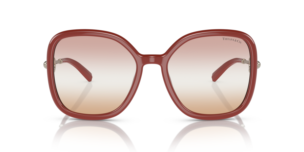 Tiffany TF4202U 8380EL 57 Güneş Gözlükleri