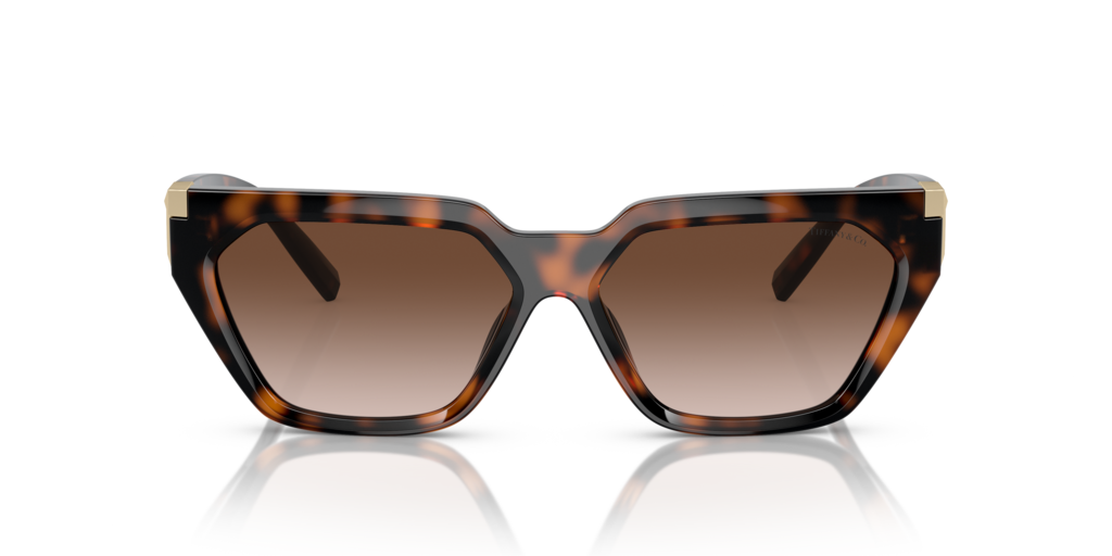Tiffany TF4205U 80153B 56 Güneş Gözlükleri