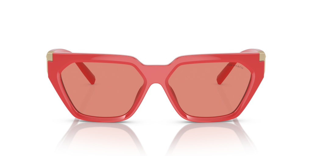 Tiffany TF4205U 837084