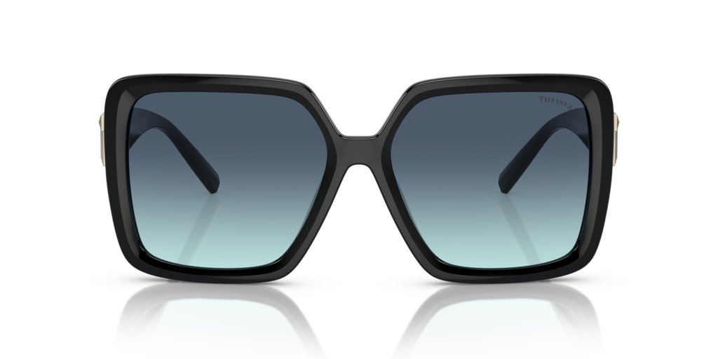 Tiffany TF4206U 80019S 58 Güneş Gözlükleri