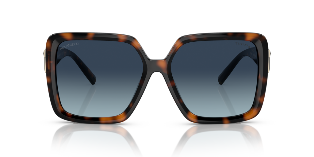 Tiffany TF4206U 80154U