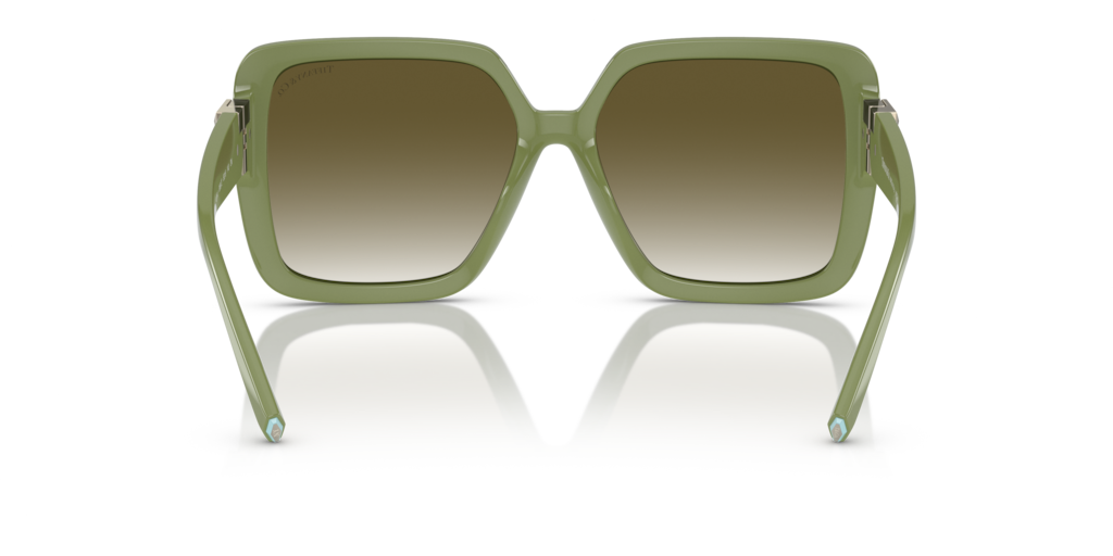 Tiffany TF4206U 83687Z 58 Güneş Gözlükleri