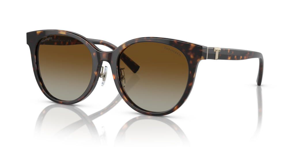 Tiffany TF4209D