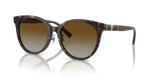 Tiffany TF4209D