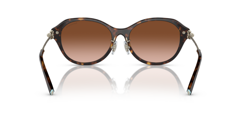 Tiffany TF4210D 80153B 54 Güneş Gözlükleri