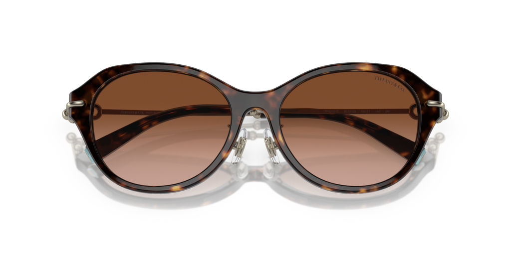 Tiffany TF4210D 80153B 54 Güneş Gözlükleri