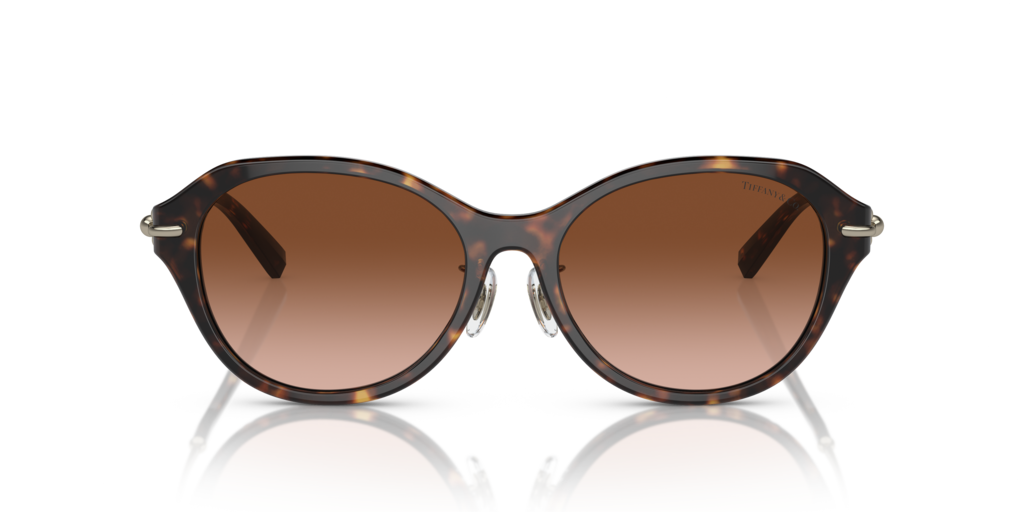 Tiffany TF4210D 80153B 54 Güneş Gözlükleri
