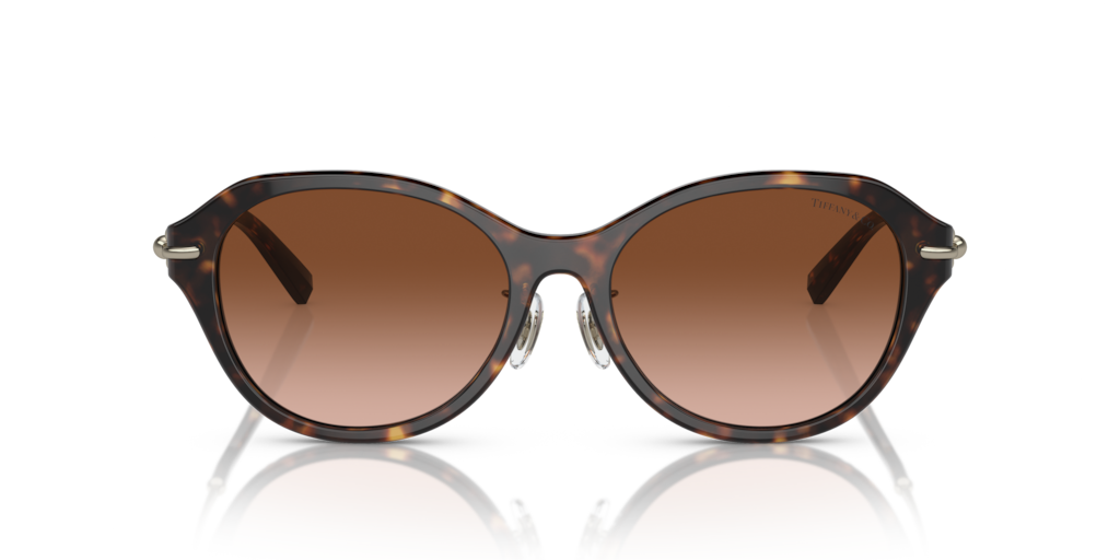 Tiffany TF4210D 80153B 54 Güneş Gözlükleri