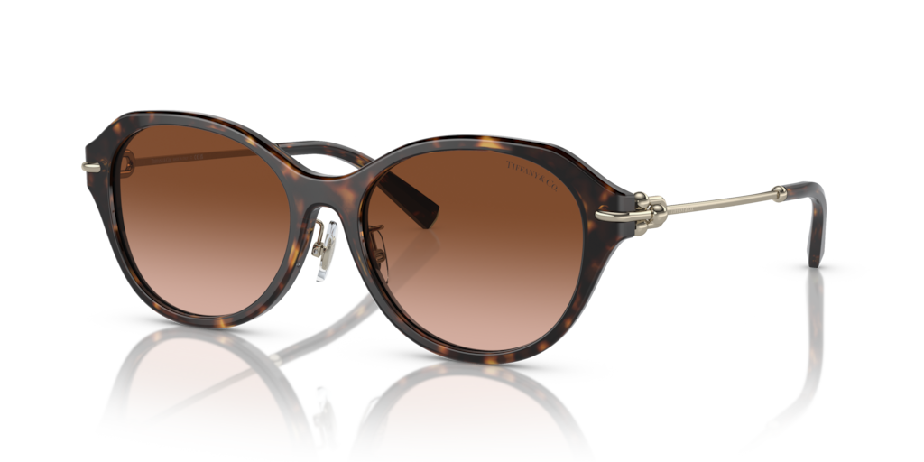 Tiffany TF4210D 80153B 54 Güneş Gözlükleri