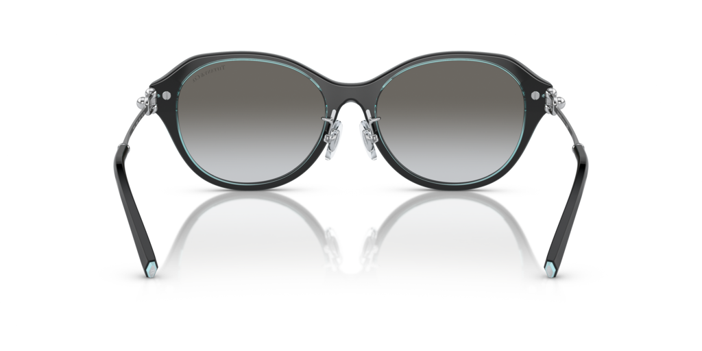 Tiffany TF4210D 82853C 54 Güneş Gözlükleri