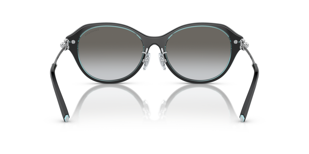 Tiffany TF4210D 82853C 54 Güneş Gözlükleri