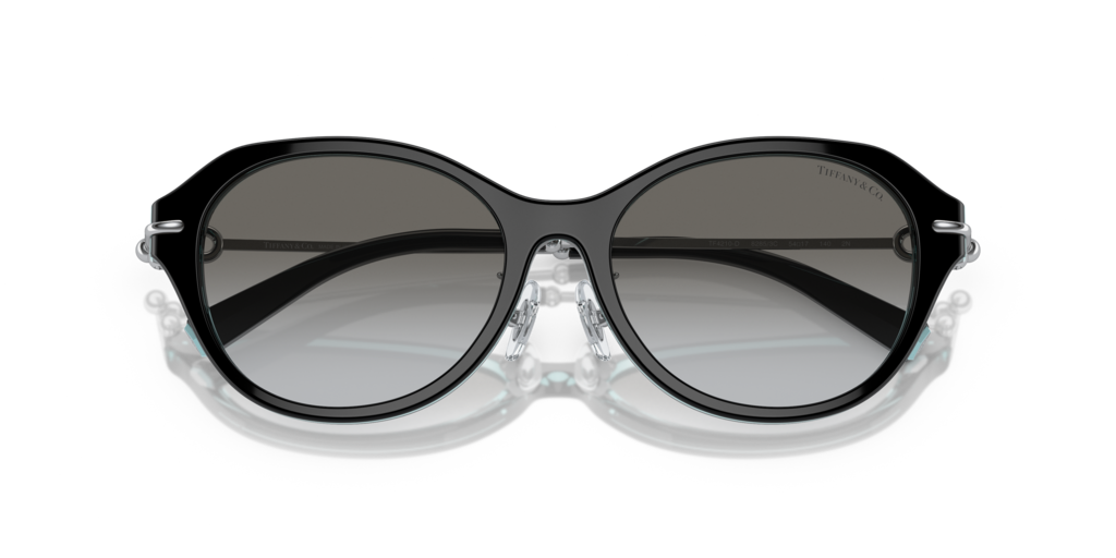 Tiffany TF4210D 82853C 54 Güneş Gözlükleri