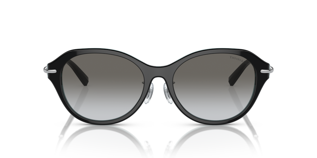 Tiffany TF4210D 82853C 54 Güneş Gözlükleri